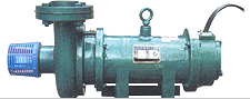 Horizontal Submersible Pumps